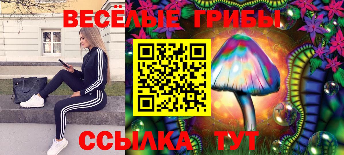 Галлюциногенные грибы Psilocybe Кувандык