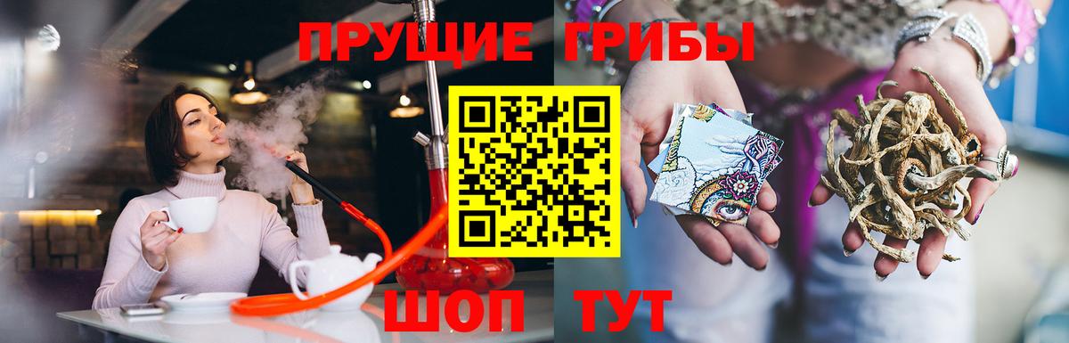 Псилоцибиновые грибы ЛСД  наркота  Кувандык  Вход с VPN  Псилоцибиновые грибы мицелий 