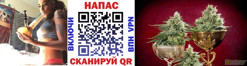 ссылка на мегу ССЫЛКА сколько стоит Кувандык даркнет как зайти Канабис индика