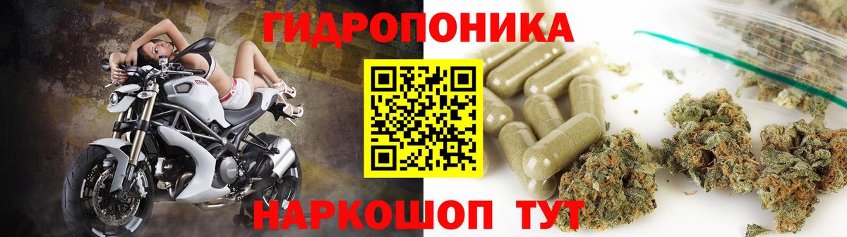 Бошки Шишки конопля Кувандык